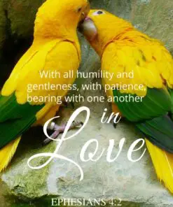 Christian Wallpaper - Parakeet Kiss Ephesians 4:2