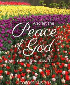 Christian Wallpaper - Peace of God Colossians 3:15