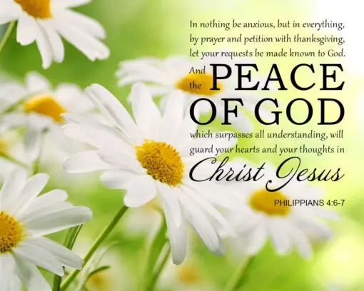 Philippians 4:6-7 - Peace of God - Bible Verses To Go
