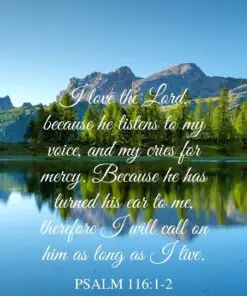 Christian Wallpaper - Pine Lake Psalm 116:1-2