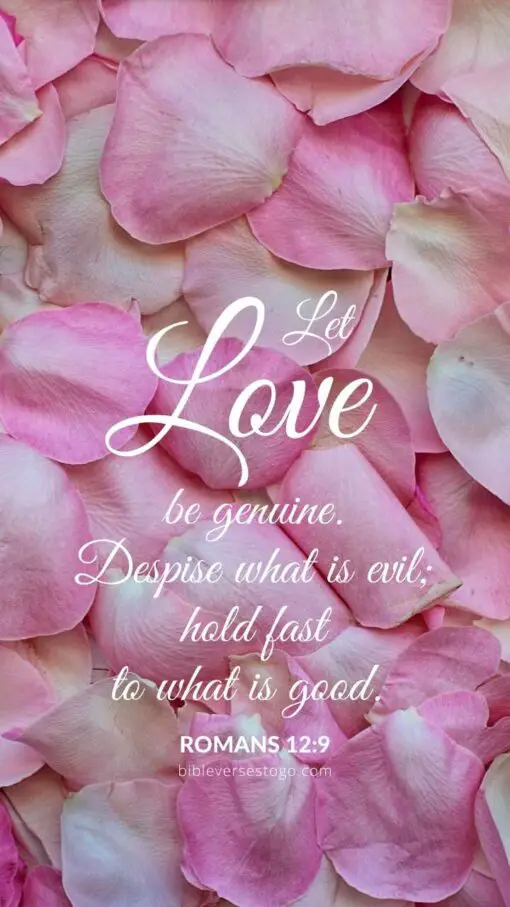 Christian Wallpaper - Pink Petals Romans 12:9