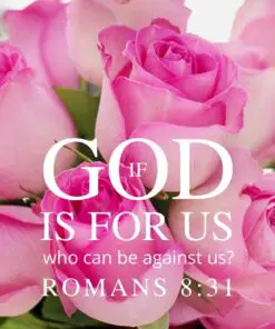 Christian Wallpaper - Pink Roses Romans 8:31