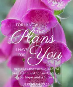 Christian Wallpaper – Pink Bells Jeremiah 29:11