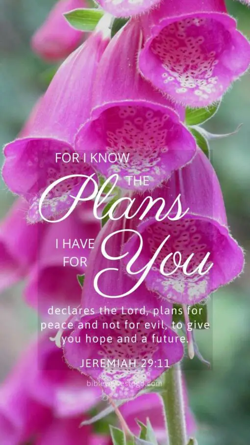 Christian Wallpaper – Pink Bells Jeremiah 29:11