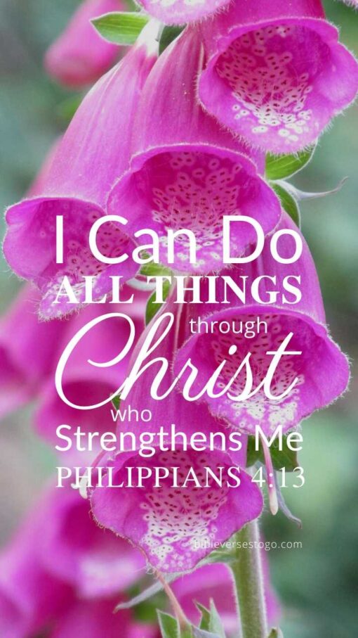 Christian Wallpaper – Pink Bells Philippians 4:13