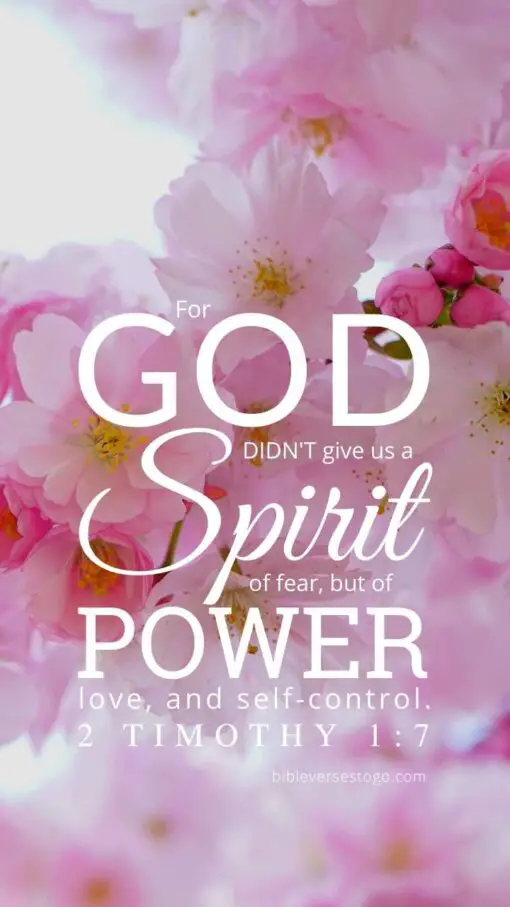 Christian Wallpaper – Pink Bloom 2 Timothy 1:7