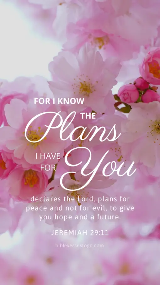 Christian Wallpaper - Pink Bloom Jeremiah 29:11