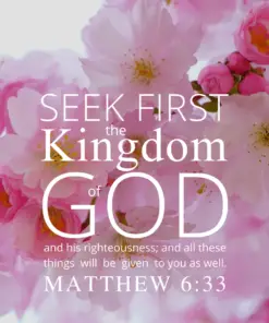 Christian Wallpaper – Pink Bloom Matthew 6:33