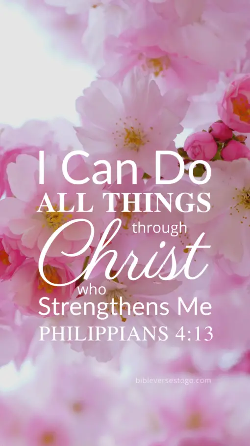 Christian Wallpaper - Pink Bloom Philippians 4:13