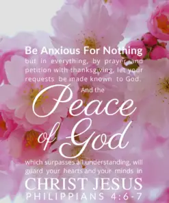 Christian Wallpaper – Pink Bloom Philippians 4:6-7