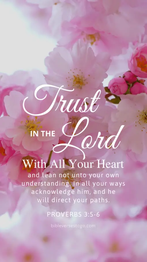 Christian Wallpaper – Pink Bloom Proverbs 3:5-6