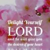 Christian Wallpaper - Pink Bloom Psalm 37:4