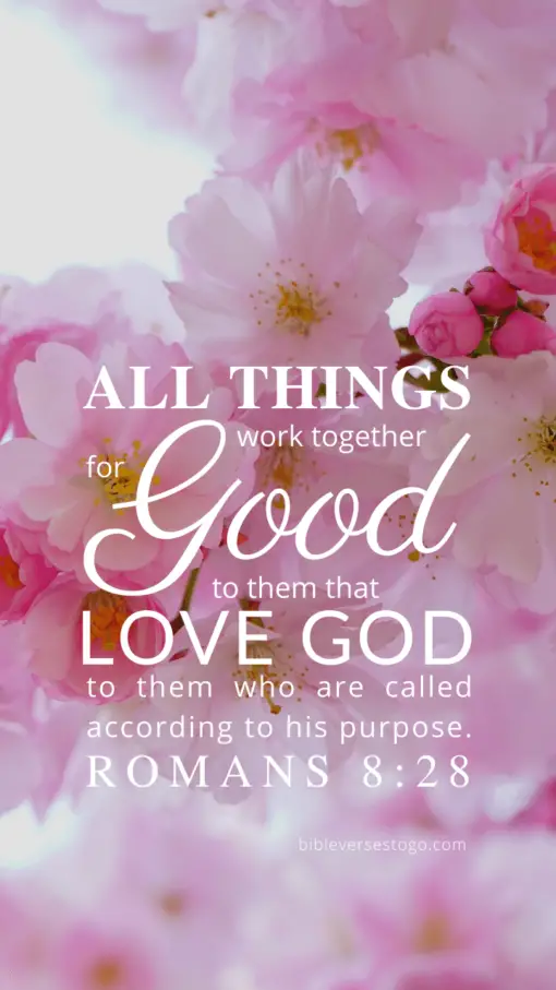 Christian Wallpaper – Pink Bloom Romans 8:28