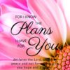 Christian Wallpaper – Pink Daisy Jeremiah 29:11