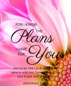 Christian Wallpaper – Pink Daisy Jeremiah 29:11