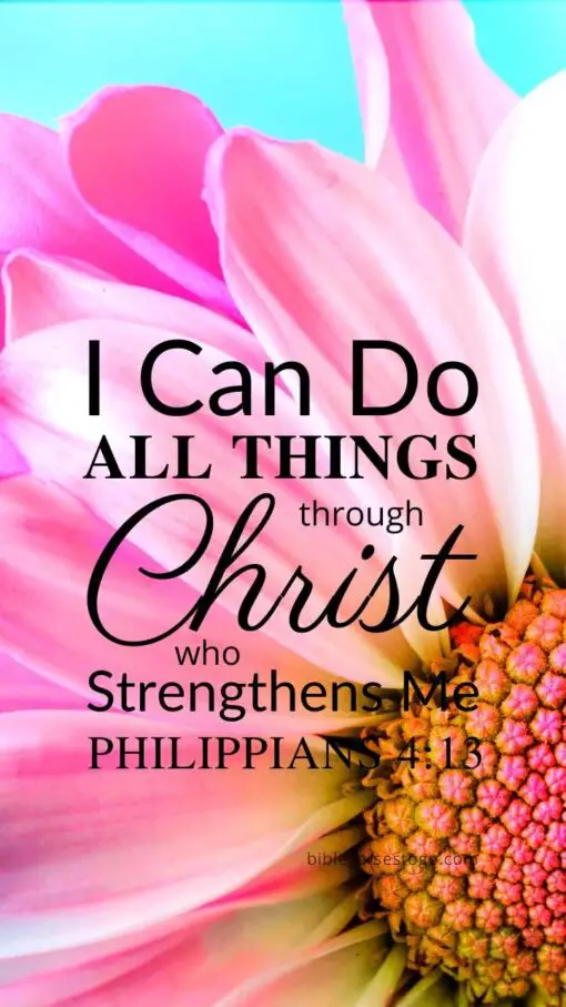 Christian Wallpaper – Pink Daisy Philippians 4:13