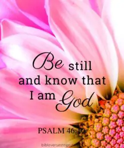 Christian Wallpaper – Pink Daisy Psalm 46:10