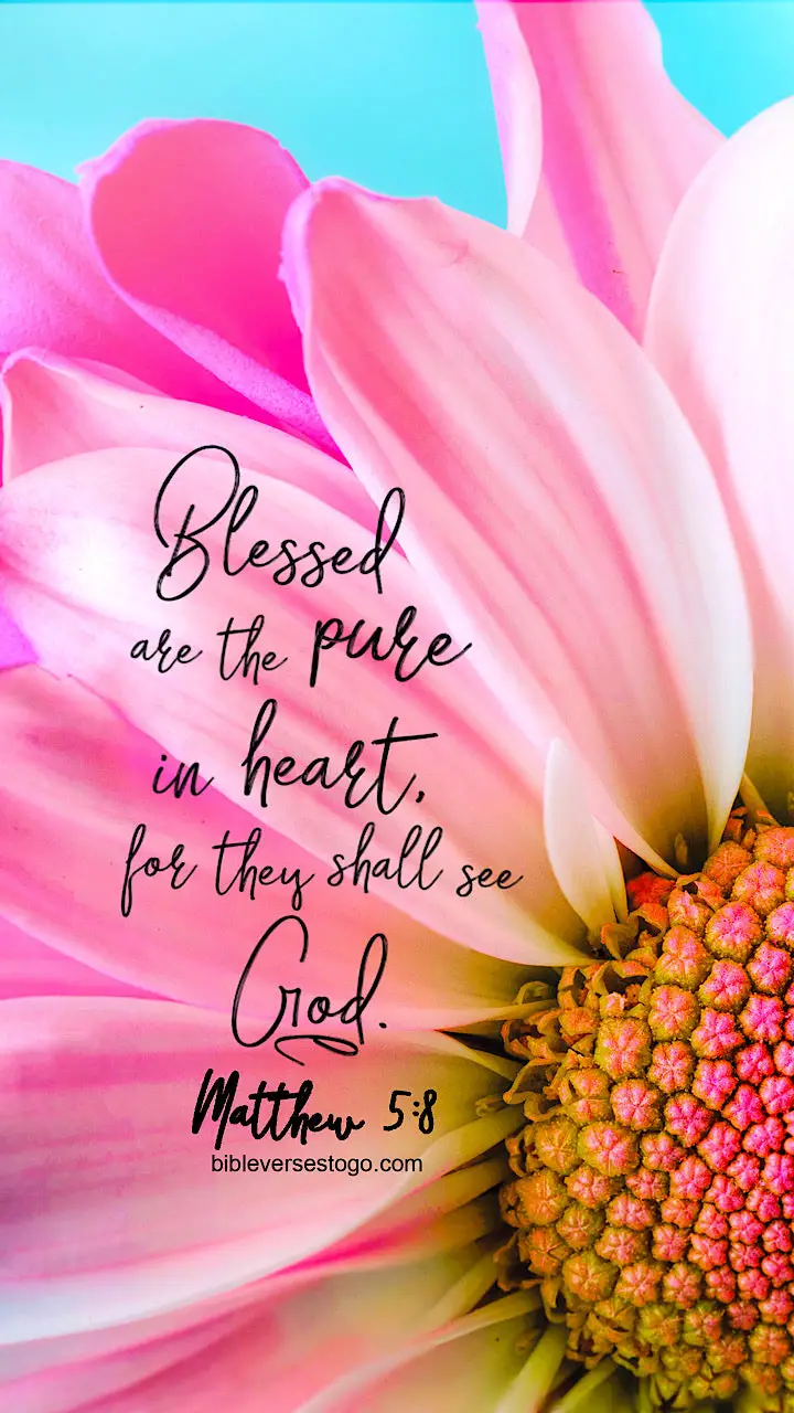 Pink Daisy Matthew 5:8 - Encouraging Bible Verses