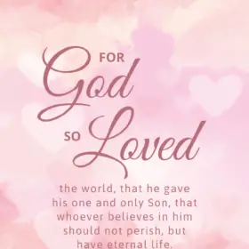 Pink Flowers John 3:16 – Encouraging Bible Verses