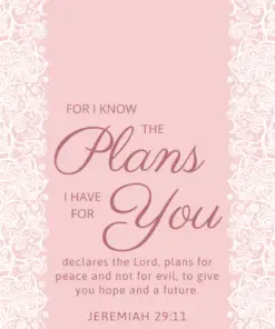 Christian Wallpaper – Pink Lace2 Jeremiah 29:11