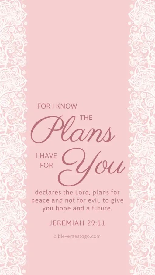 Christian Wallpaper – Pink Lace2 Jeremiah 29:11
