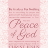 Christian Wallpaper – Pink Lace2 Philippians 4:6-7