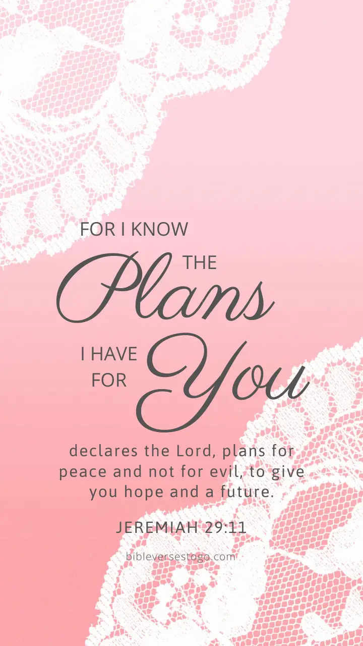Pink Lace Jeremiah 29:11 - Encouraging Bible Verses
