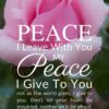 Christian Wallpaper – Pink Rose John 14:27