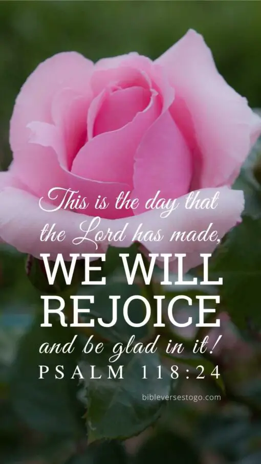 Christian Wallpaper – Pink Rose Psalm 118:24