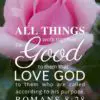 Christian Wallpaper – Pink Rose Romans 8:28