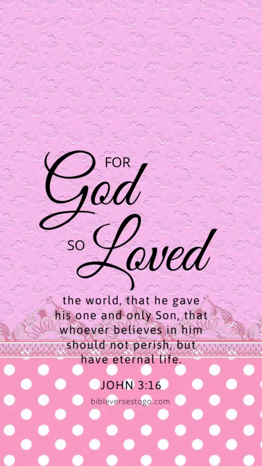 Christian Wallpaper – Pink Violet John 3:16