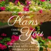 Christian Wallpaper – Planter Jeremiah 29:11