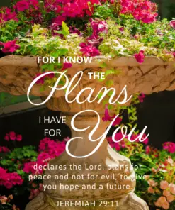 Christian Wallpaper – Planter Jeremiah 29:11