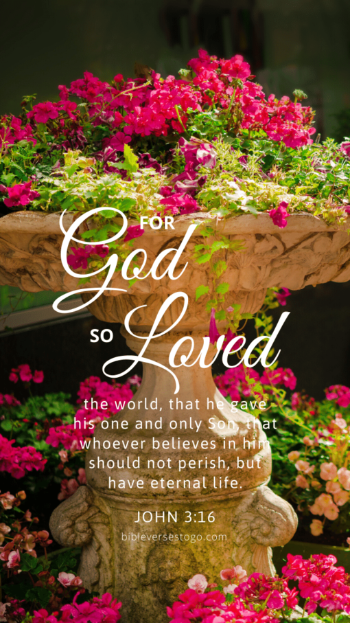 Christian Wallpaper – Planter John 3:16