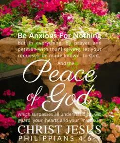 Christian Wallpaper – Planter Philippians 4:6-7