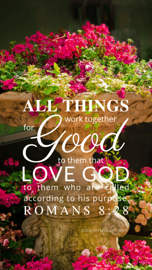 Christian Wallpaper – Planter Romans 8:28
