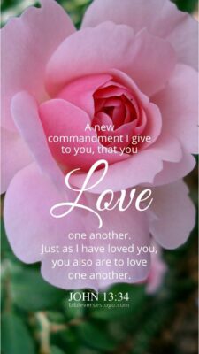 Pretty Pink John 13:34 – Encouraging Bible Verses