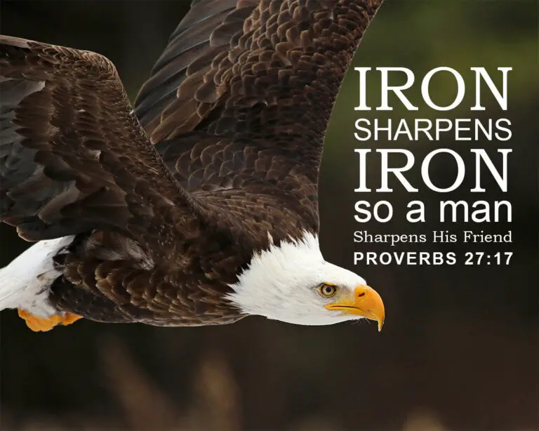 Prov 27 17 Iron Sharpens Iron Encouraging Bible Verses prov-27-17-iron-sharpens-iron-encouraging-bible-verses