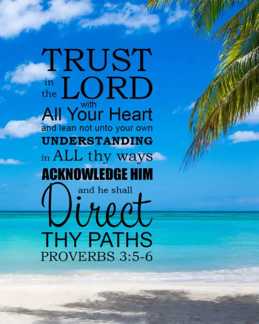 Proverbs 3:5-6 - Trust in the Lord - Bible Verses To Go