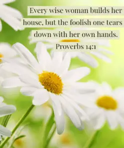 Proverbs 14:1 - Every Wise Woman Builds Her House - Bible Verses To Go