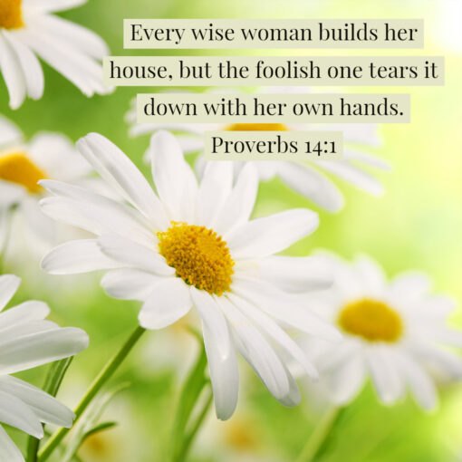 Proverbs 14:1 - Every Wise Woman Builds Her House - Bible Verses To Go