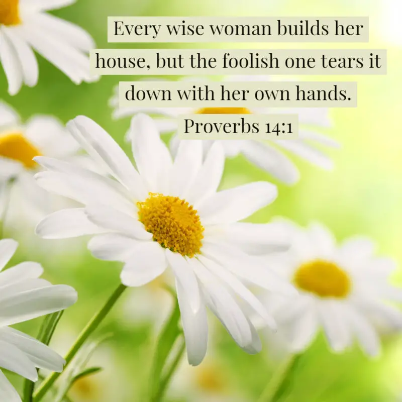 Proverbs 14 1 Every Wise Woman Encouraging Bible Verses   Proverbs 14 1 1 800x800 