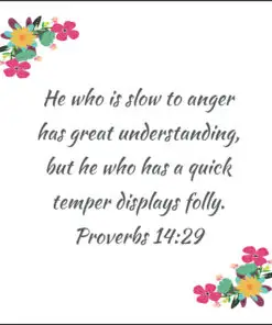 Proverbs 14:29 - Slow to Anger Has Great Understanding - Bible Verses To Go