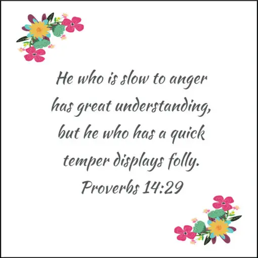 Proverbs 14:29 - Slow to Anger Has Great Understanding - Bible Verses To Go