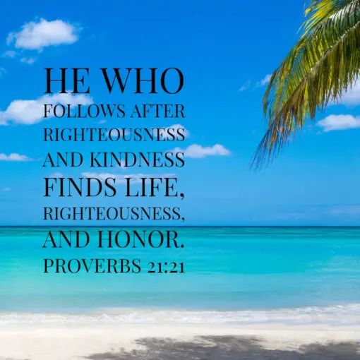 Proverbs 21:21 - He Who Follows Righteousness Finds Life - Bible Verses To Go