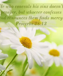 Proverbs 28:13 - Confess and Find Mercy - Bible Verses To Go