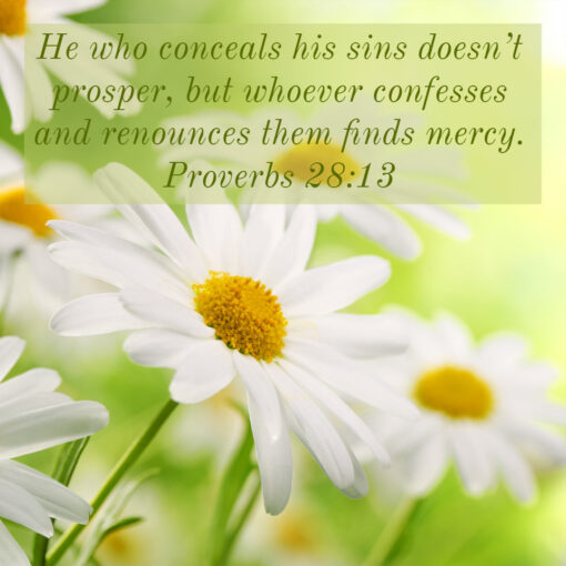 Proverbs 28:13 - Confess and Find Mercy - Bible Verses To Go