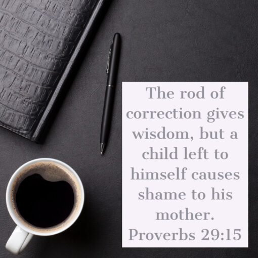 Proverbs 29:15 - Rod of Correction Gives Wisdom - Bible Verses To Go