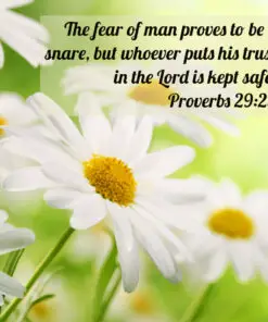 Proverbs 29:25 - The Fear of Man - Bible Verses To Go