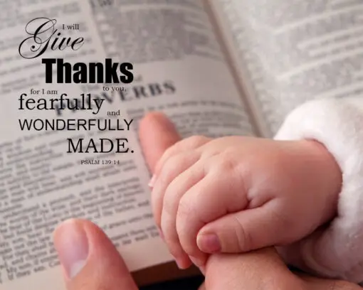 Psalm 139:14 - Wonderfully Made - Bible Verses To Go